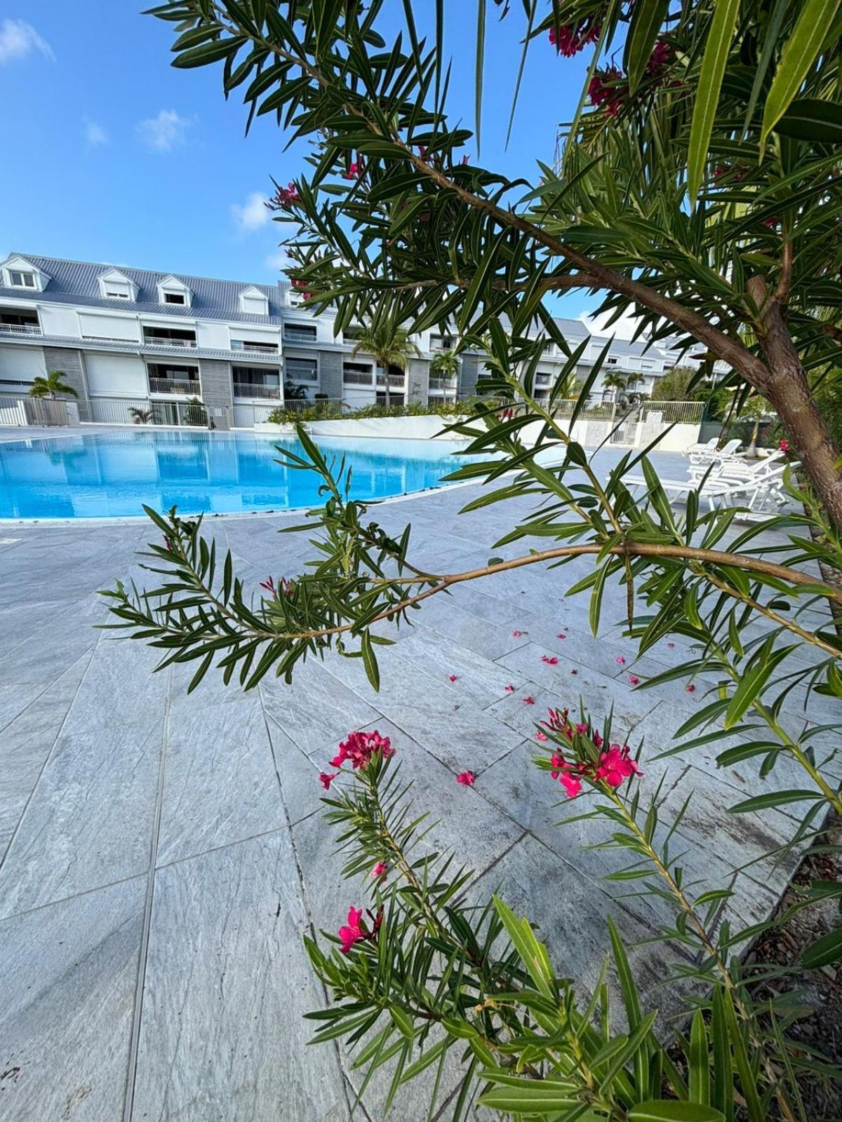 Easy Friendly Sxm Apartment Cul de Sac Exterior photo